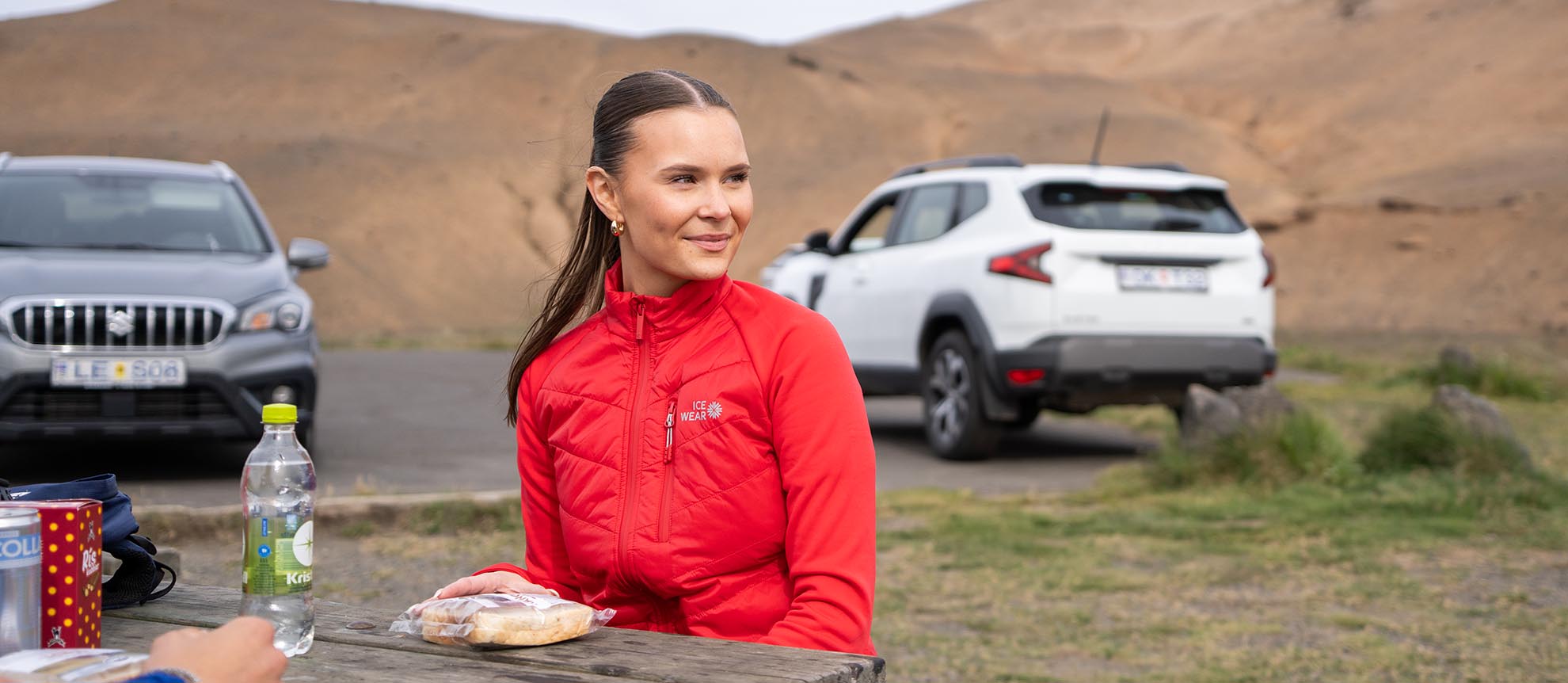 Iceland's Best Picnic Spots: Scenic Stops for Self-Drive Adventures