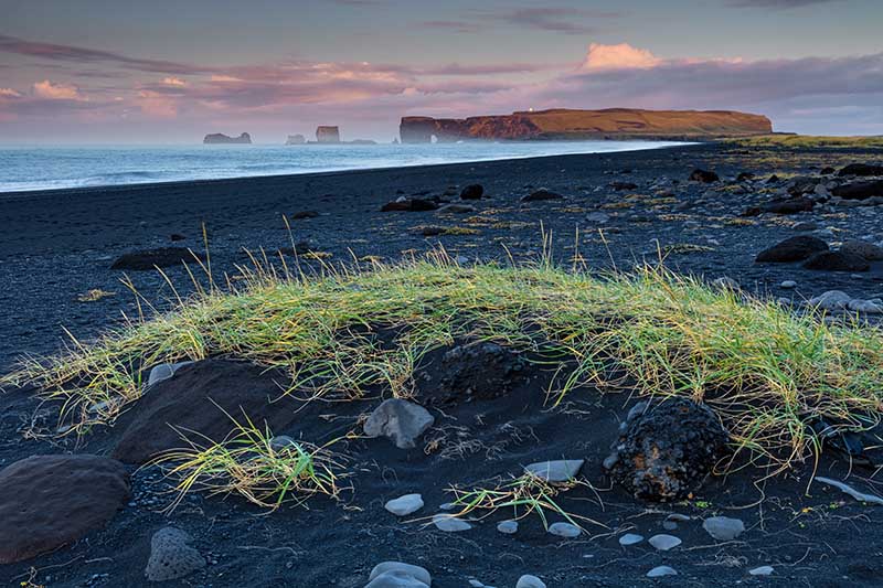 Iceland black sand beach near Dyrholaey