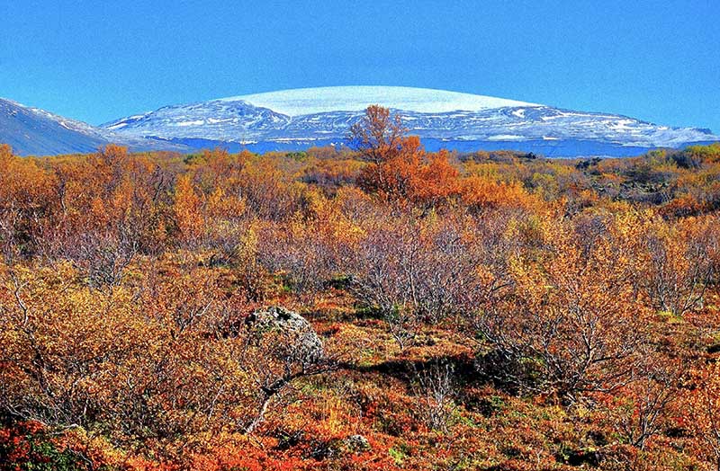 Autumn in Iceland