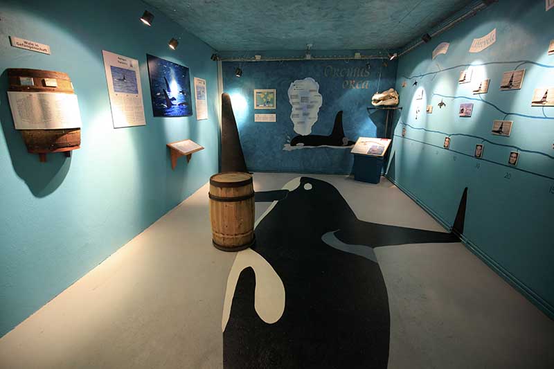 Húsavík Whale Museum