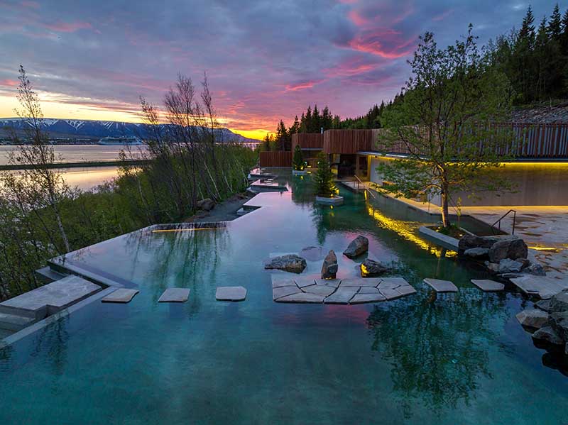 Forest Lagoon