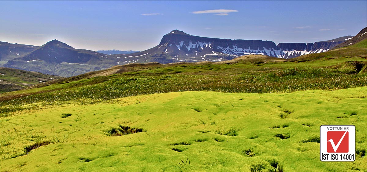 Green Policy of Holdur Car rental in Iceland