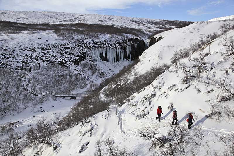Group of people hiking at Svartifoss in winter