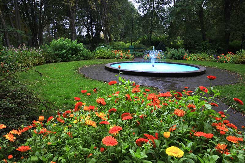 Akureyri botanic garden