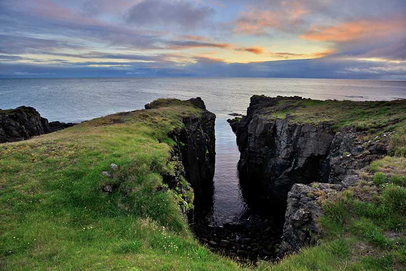 Nature in Grimsey Island