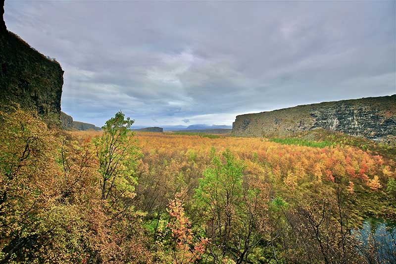 Visit Ásbyrgi Canyon