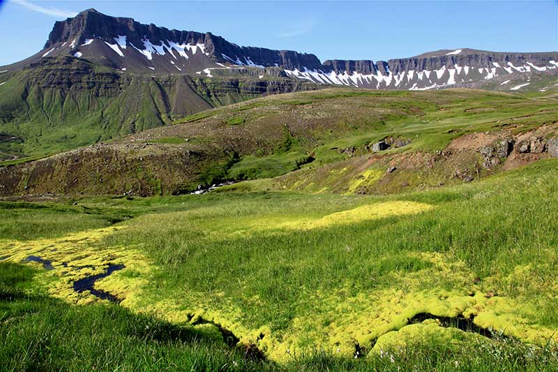 Icelandic tap water is famous for being some of the purest and best-tasting in the world.