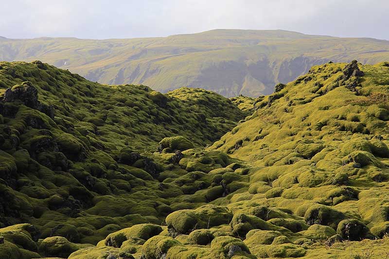 Exploring Eldhraun on a South Iceland car rental journey
