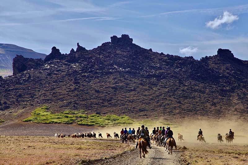 Horse riding tour in Iceland