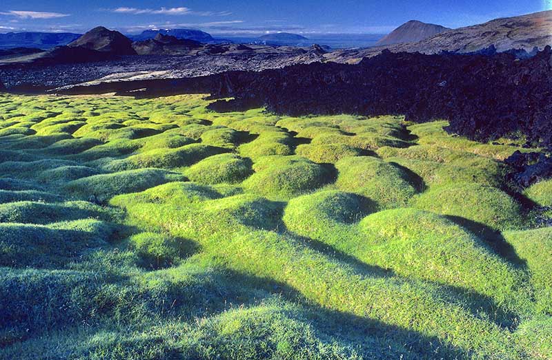 Leirhnjúkur Lava Field