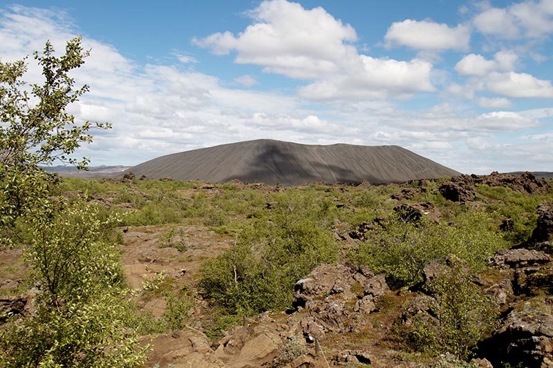 A scenic view of Dimmuborgir's unique lava pillars surrounded by lush green moss in North Iceland.