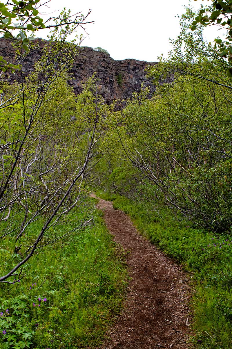 Ásbyrgi offers a variety of walking routes