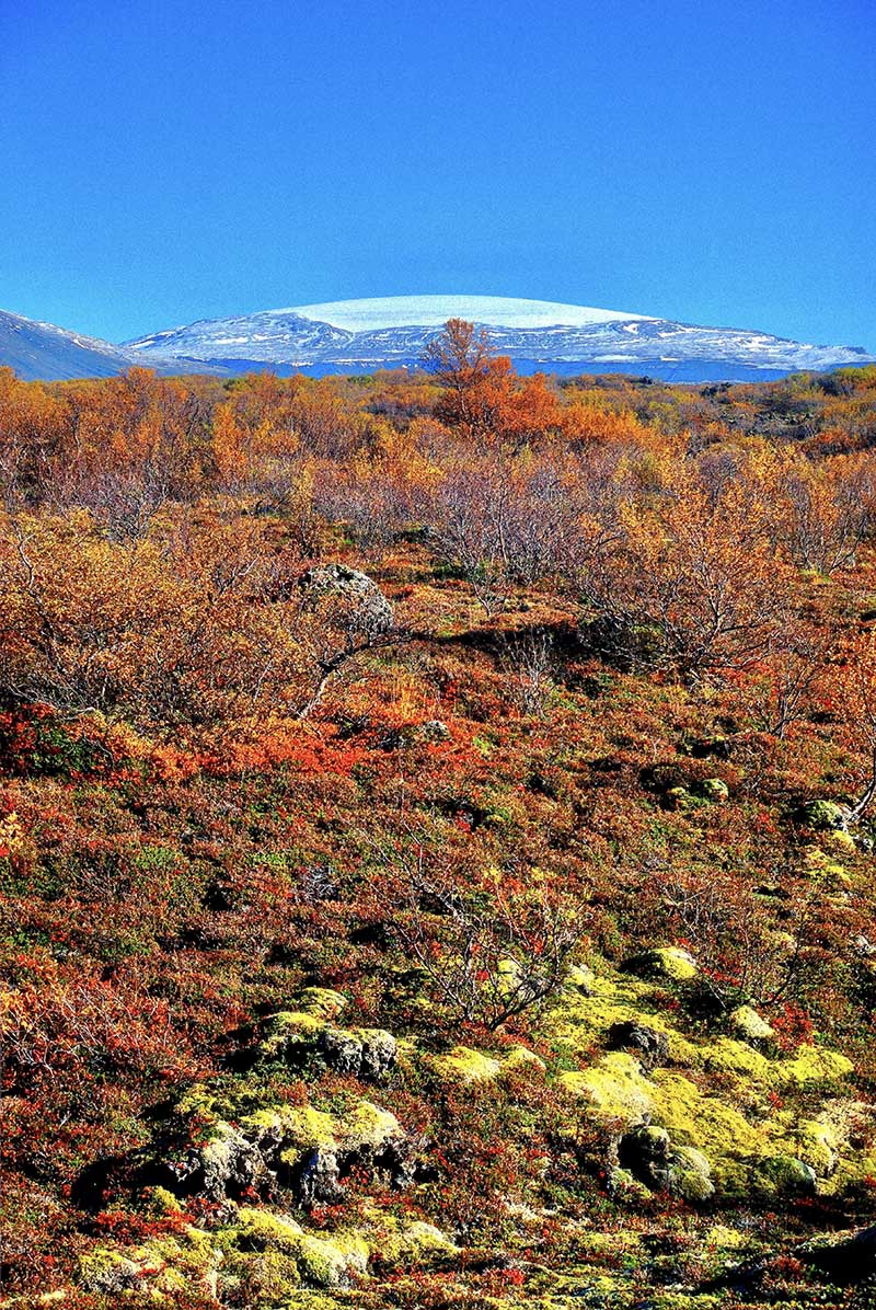 Husafell and Eiriksjokull Glacier