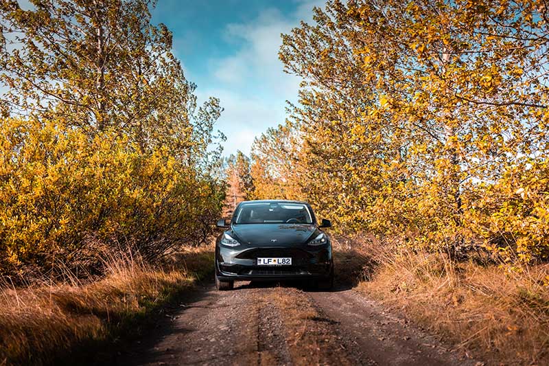 Black Tesla and Iceland in autumn