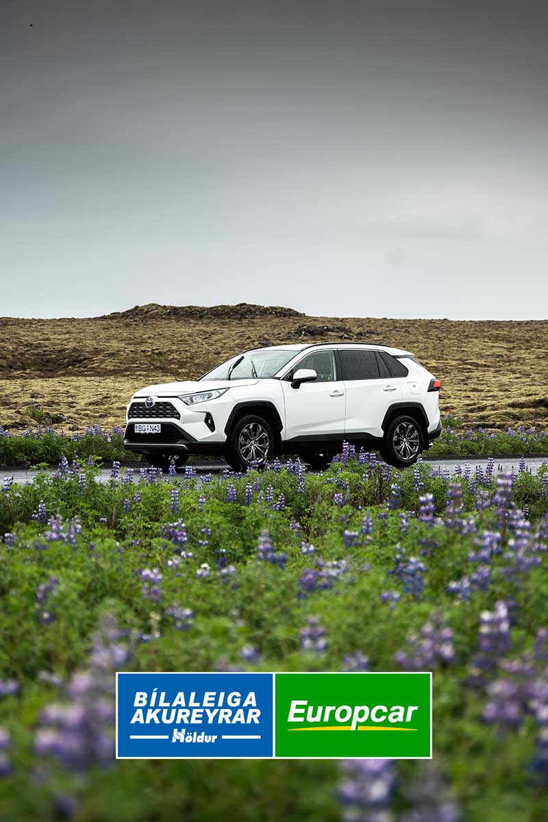 Toyota Rav 4 banner