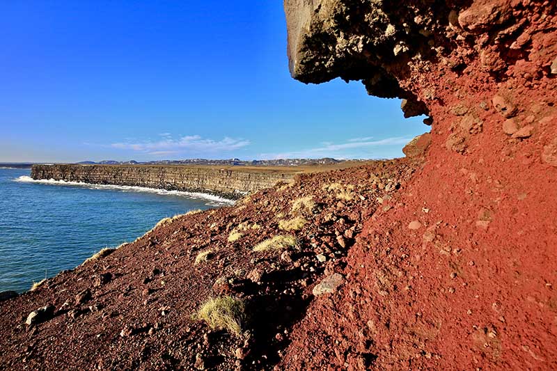 Seabirds nesting on the rugged Krýsuvíkurbjarg Cliffs, a hidden gem for wildlife enthusiasts in southwest Iceland.