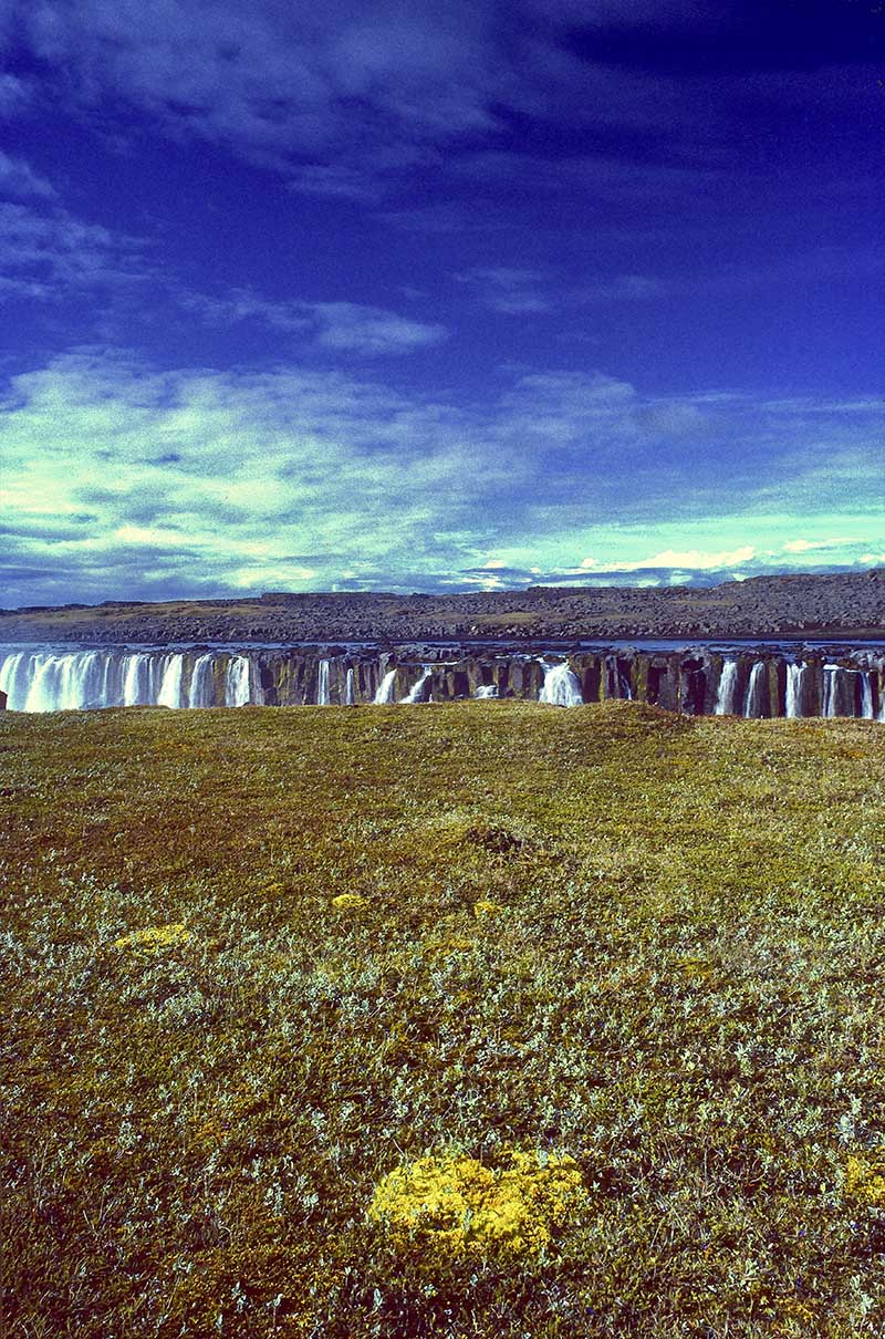 Selfoss