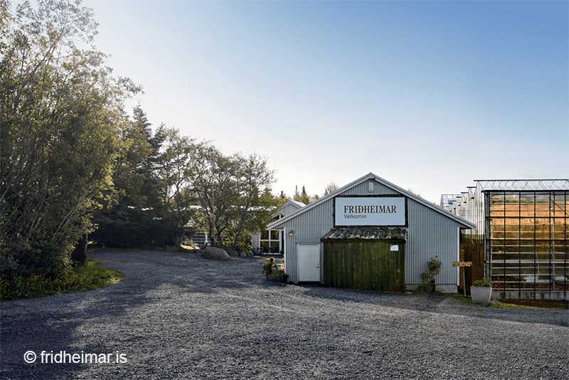Friðheimar