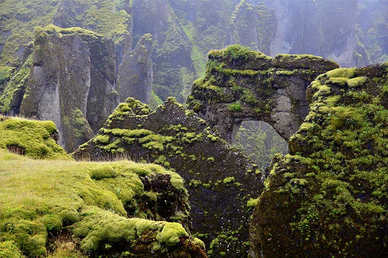Fjaðrárgljúfur Canyon