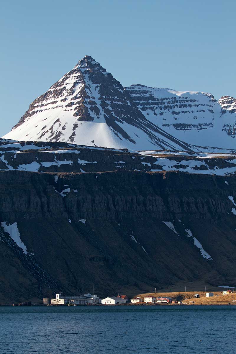 Best Time to Visit Djupavik