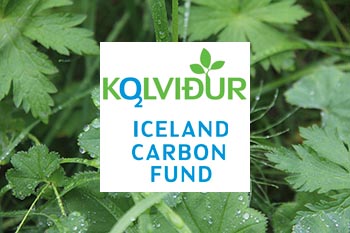 Carbon Sequestration 