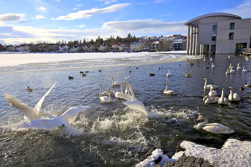Mild Winter Weather in Reykjavik Iceland