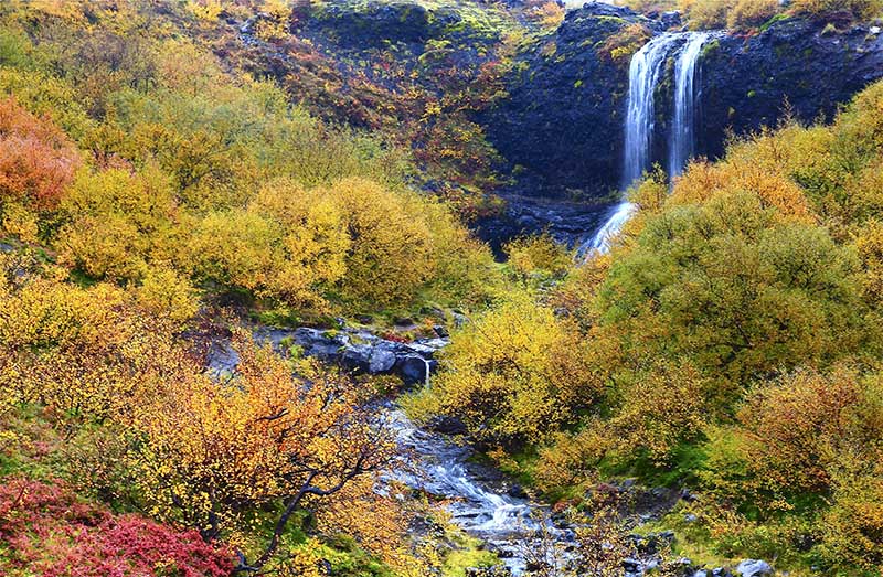 Stunning Autumn Colors on Iceland Self Drive Trip