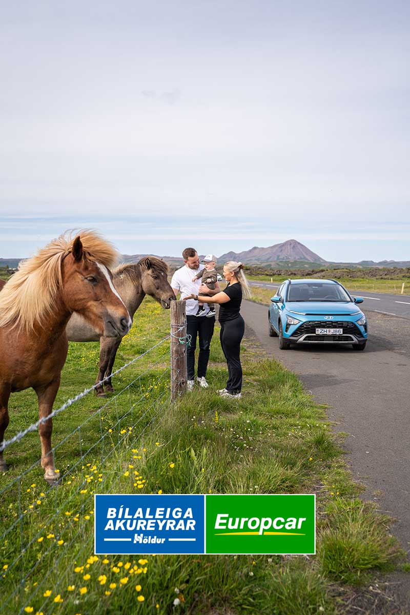 Couple with a child and rental car from Holdur looking at Icelandic horse