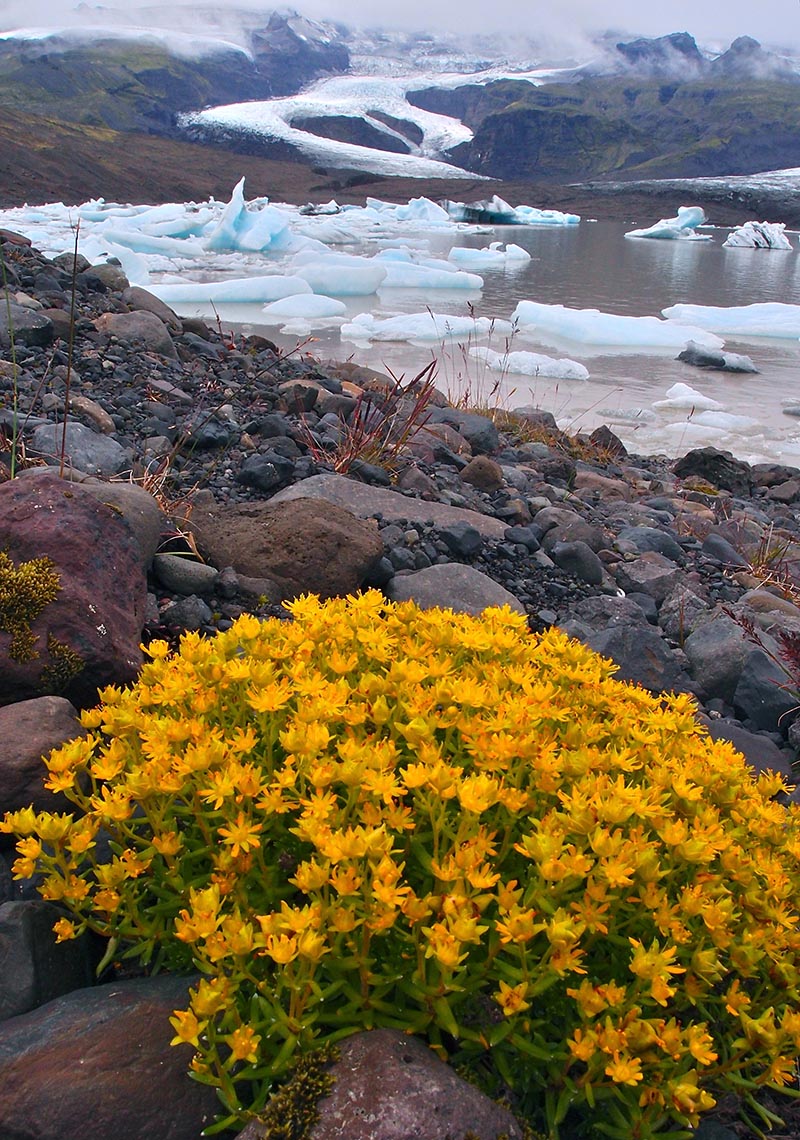 Beautiful day at Fjallsárlón Glacier Lagoon