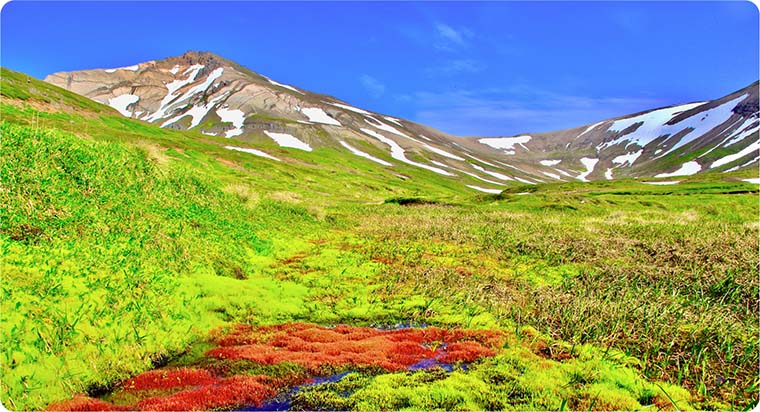 iceland car rental sustainability