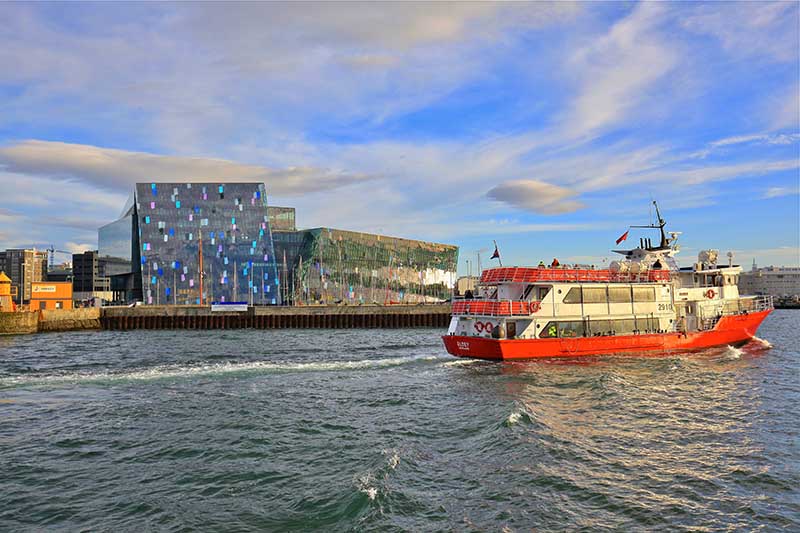 Whale Watching boat in Reykjavik Old Harbor