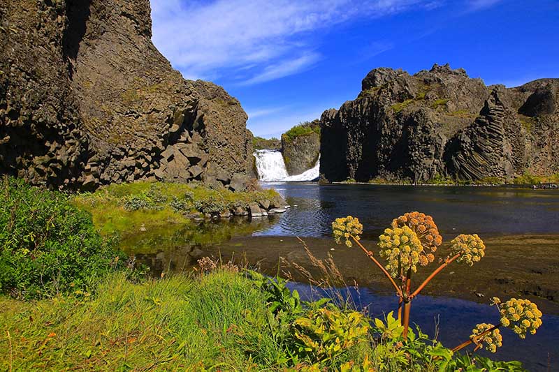 Hjalparfoss is a striking two-pronged waterfall where the rivers Fossá and Þjórsá merge