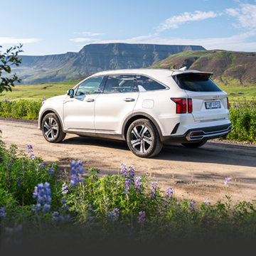 Find the ideal SUV for your needs